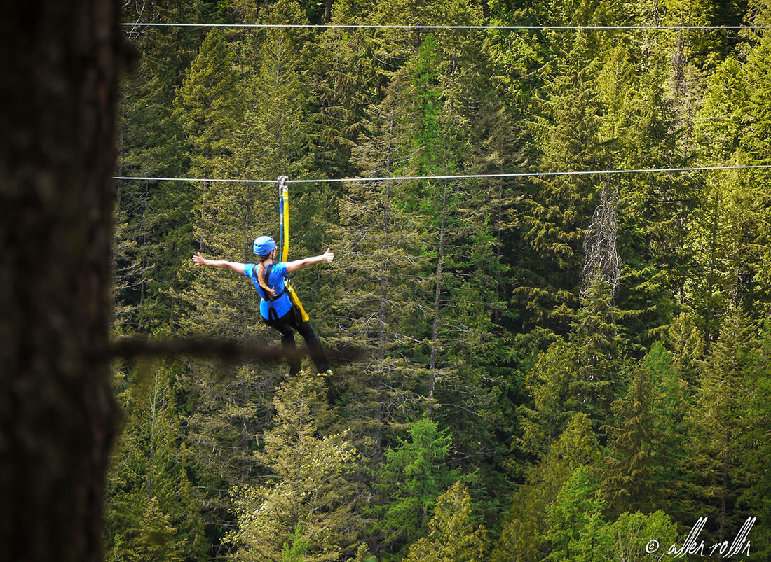 Put ziplining on your list of fun things to do as part of your Kokanee Glacier Park visit. 