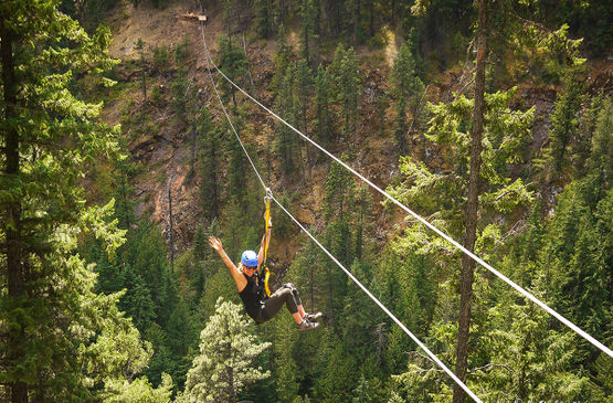 Coming down the line: What’s new on the zipline this year