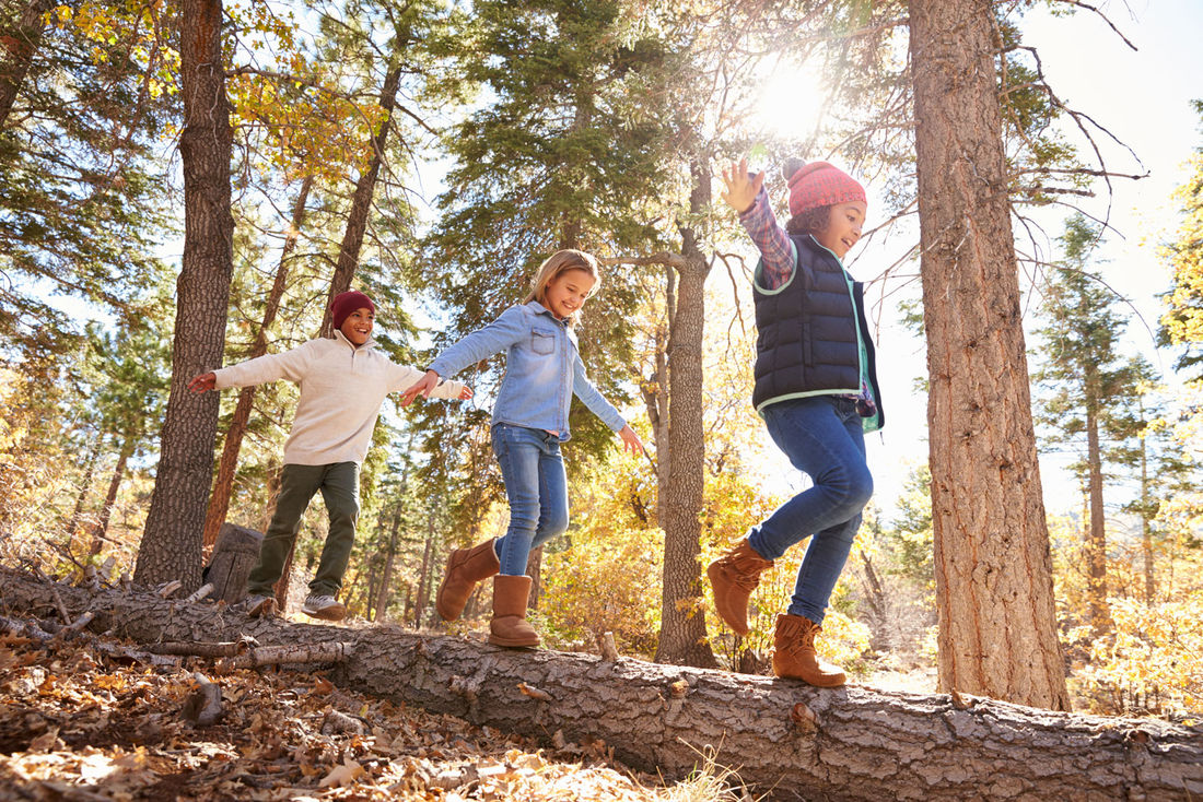 A family fun way to explore Mother Nature's many wonders.